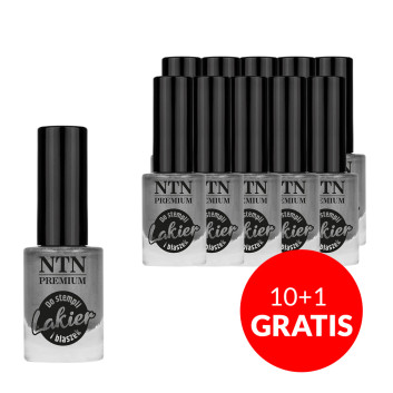 10+1gratis Lakier do stempli i blaszek NTN Premium srebrny 7ml Nr 91