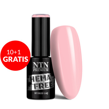 10+1gratis Lakier hybrydowy Ntn Premium Delicate French HEMA/Di-HEMA Free 5g Nr 300