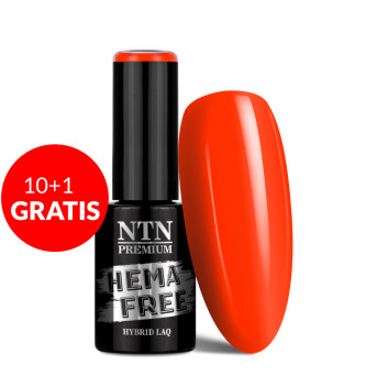 10+1gratis Lakier hybrydowy Ntn Premium California Collection Neon HEMA/Di-HEMA Free 5g Nr 142