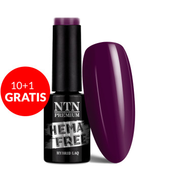 10+1gratis Lakier hybrydowy Ntn Premium Seductive Collection HEMA/Di-HEMA Free 5g Nr 132