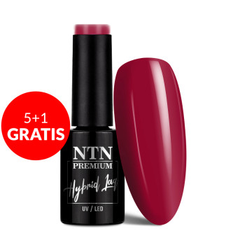 5+1gratis Lakier hybrydowy Ntn Premium Show Collection 5g Nr 114