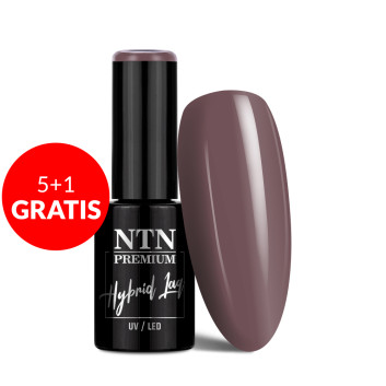 5+1gratis Lakier hybrydowy NTN Premium Topless Collection 5G NR 11