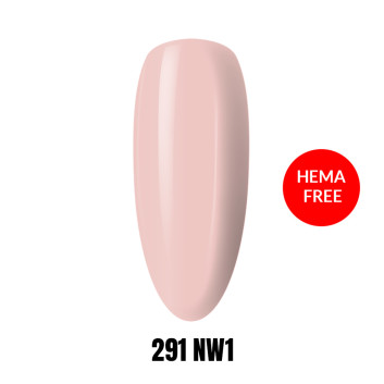 291 NW1 LAKIER HYBRYDOWY HEMA/DI-HEMA FREE 1KG