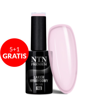 5+1gratis Lakier hybrydowy Ntn Premium Ambrosia Collection 5g Nr 160