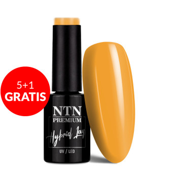 5+1gratis Lakier hybrydowy Ntn Premium Milkshake 5g Nr 315