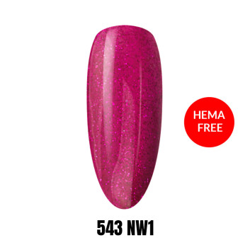 543 NW1 LAKIER HYBRYDOWY HEMA/Di-HEMA Free 1KG