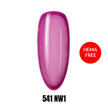 541 NW1 LAKIER HYBRYDOWY HEMA/Di-HEMA Free 1KG