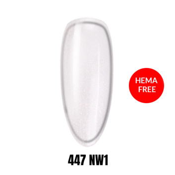 447 NW1 LAKIER HYBRYDOWY HEMA/Di-HEMA Free 1KG