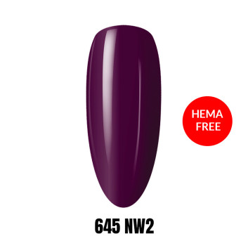 645 NW2 LAKIER HYBRYDOWY HEMA/Di-HEMA Free 1KG