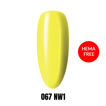 067 NW1 LAKIER HYBRYDOWY HEMA/Di-HEMA Free 1KG