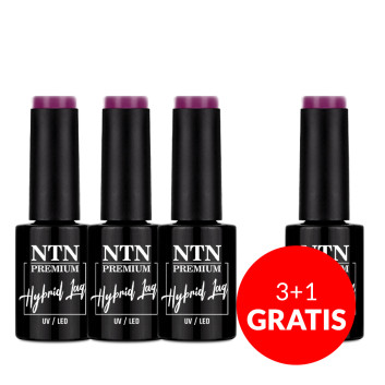 3+1gratis Lakier hybrydowy Ntn Premium Multicolor Collection 5g Nr 87