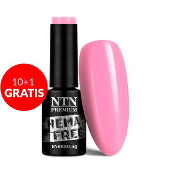 10+1gratis Lakier hybrydowy Ntn Premium Gossip Girl Collection HEMA/Di-HEMA Free5g Nr 03