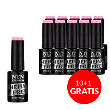 10+1gratis Lakier hybrydowy Ntn Premium Gossip Girl Collection HEMA/Di-HEMA Free5g Nr 03