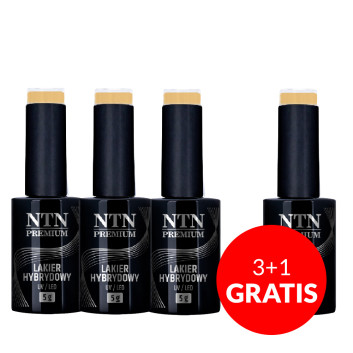 3+1gratis Lakier hybrydowy Ntn Premium Seductive Collection 5g Nr 129