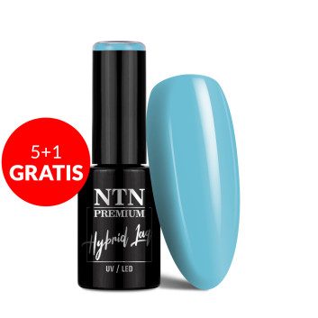 5+1gratis Lakier hybrydowy Ntn Premium California Collection 5g Nr 136