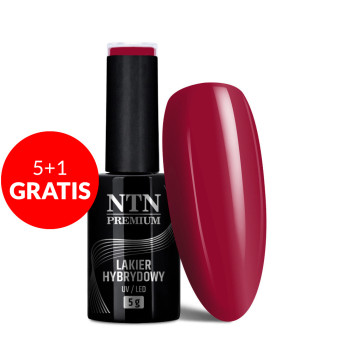 5+1gratis Lakier hybrydowy Ntn Premium Show Collection 5g Nr 114