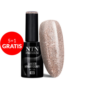 5+1gratis Lakier hybrydowy Ntn Premium Celebration Collection 5g Nr 167