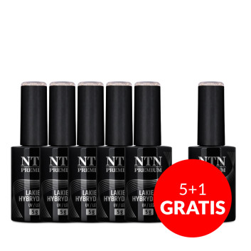 5+1gratis Lakier hybrydowy Ntn Premium Celebration Collection 5g Nr 167