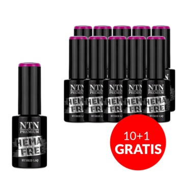 10+1gratis Lakier hybrydowy NTN Premium Design Your Style Collection HEMA/Di-HEMA Free 5g Nr 41