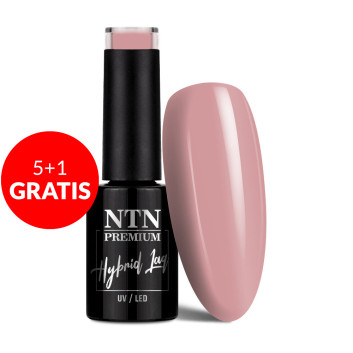 5+1gratis Lakier hybrydowy Ntn Premium Romantica Collection 5g Nr 106