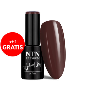 5+1gratis Lakier hybrydowy NTN Premium Show Collection 5g Nr 112