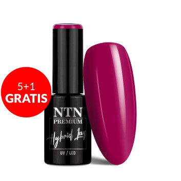 5+1gratis Lakier hybrydowy Ntn Premium Drama Queen 5g Nr 214