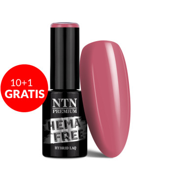 10+1gratis Lakier hybrydowy Ntn Premium Drama Queen HEMA/Di-HEMA Free 5g Nr 212