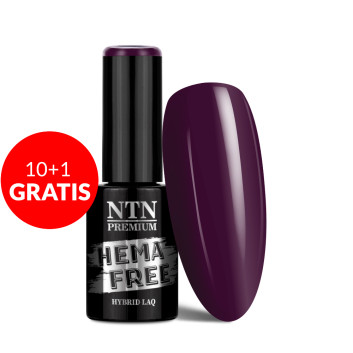 10+1gratis Lakier hybrydowy NTN Premium Splash Collection HEMA/Di-HEMA Free 5 g Nr 118