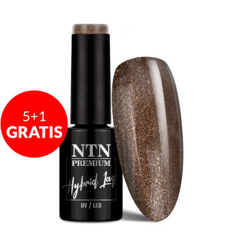 5+1gratis Lakier hybrydowy Ntn Premium Fiesta Collection 5G NR 81