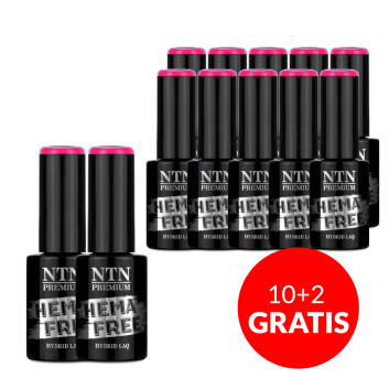 10+2gratis Lakier hybrydowy NTN Premium Garden Party Collection HEMA/Di-HEMA Free 5g Nr 174