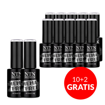 10+2gratis Lakier hybrydowy Ntn Premium Gossip Girl Collection HEMA/Di-HEMA Free 5g Nr 01