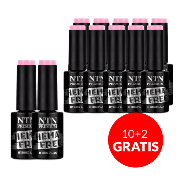 10+2gratis Lakier hybrydowy Ntn Premium Gossip Girl Collection HEMA/Di-HEMA Free 5g Nr 03