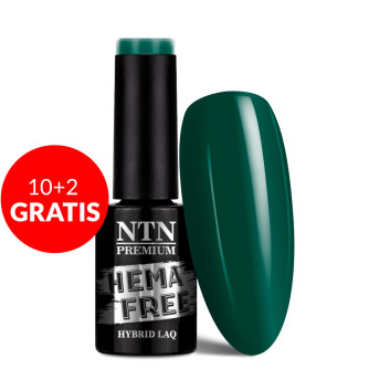 10+2gratis Lakier hybrydowy NTN Premium Uptown Girl Collection HEMA/Di-HEMA Free 5g Nr 27