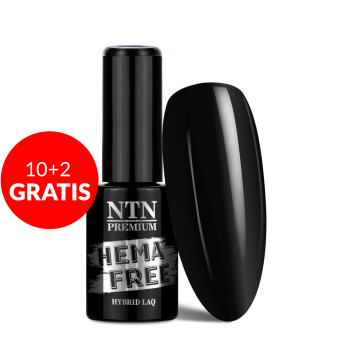 10+2gratis Lakier hybrydowy NTN Premium Show Collection HEMA/Di-HEMA Free 5g Nr 117