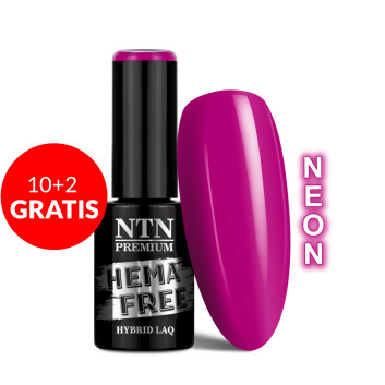 10+2gratis Lakier hybrydowy NTN Premium Design Your Style Collection HEMA/Di-HEMA Free 5g Nr 41