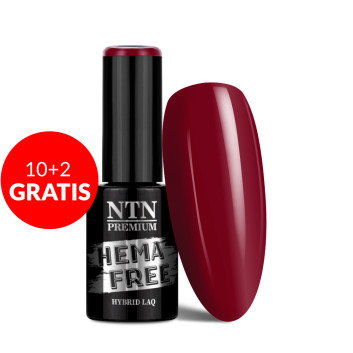 10+2gratis Lakier hybrydowy NTN Premium After Midnight Collection HEMA/Di-HEMA Free 5g Nr 67