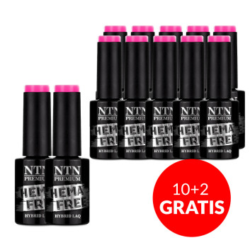 10+2gratis Lakier hybrydowy NTN Premium Multicolor Collection HEMA/Di-HEMA Free 5g Nr 85