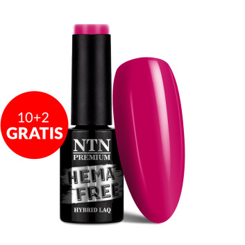 10+2gratis Lakier hybrydowy Ntn Premium Celebration Collection HEMA/Di-HEMA Free 5g Nr 171