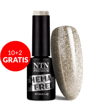 10+2gratis Lakier hybrydowy Ntn Premium Celebration Collection HEMA/Di-HEMA Free 5g Nr 169