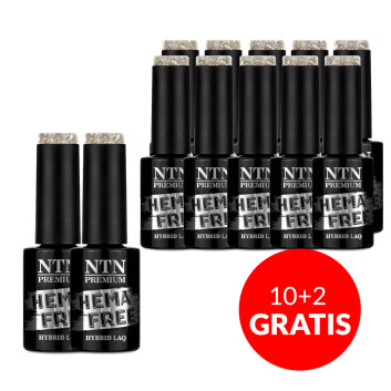 10+2gratis Lakier hybrydowy Ntn Premium Celebration Collection HEMA/Di-HEMA Free 5g Nr 169