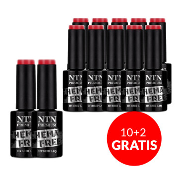 10+2gratis Lakier hybrydowy NTN Premium Celebration Collection HEMA/Di-HEMA Free 5g Nr 168