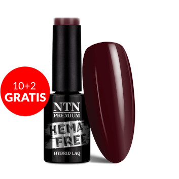 10+2gratis Lakier hybrydowy Ntn Premium Oriental Delice HEMA/Di-HEMA Free 5g Nr 267