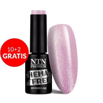 10+2gratis Lakier hybrydowy Ntn Premium Delight Sorbet Collection HEMA/Di-HEMA Free 5g Nr 149