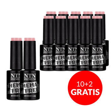 10+2gratis Lakier hybrydowy NTN Premium Day Dreaming Collection HEMA/Di-HEMA Free 5g Nr 58