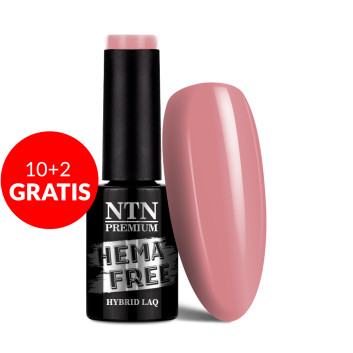 10+2gratis Lakier hybrydowy NTN Premium Day Dreaming Collection HEMA/Di-HEMA Free 5g Nr 58