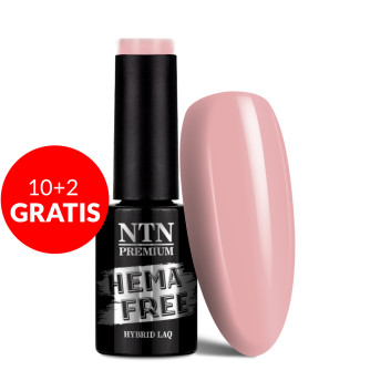 10+2gratis Lakier hybrydowy NTN Premium Uptown Girl Collection HEMA/Di-HEMA Free 5g Nr 22