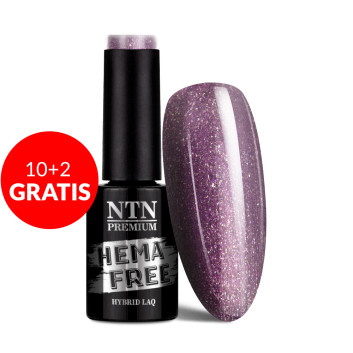 10+2gratis Lakier hybrydowy NTN Premium Uptown Girl Collection HEMA/Di-HEMA Free 5g Nr 19
