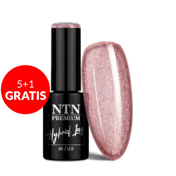 5+1gratis Lakier hybrydowy Ntn Premium Romantica Collection 5g Nr 107