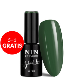 5+1gratis Lakier hybrydowy NTN Premium Fiesta Collection 5g Nr 76