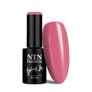 Lakier hybrydowy NTN Premium Uptown Girl Collection 5g Nr 23